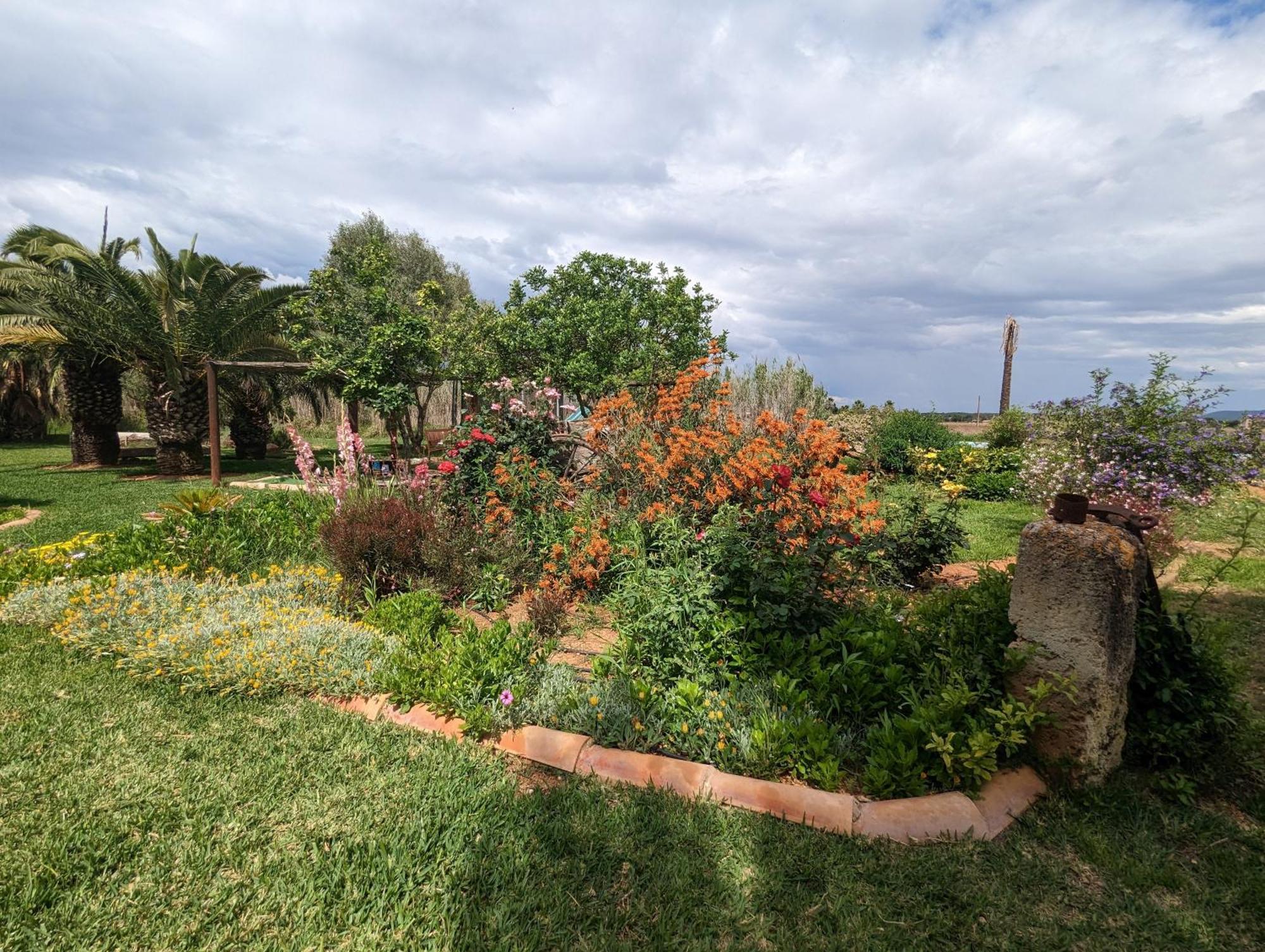 Agroturismo Finca Sant Blai Campos  Exterior photo